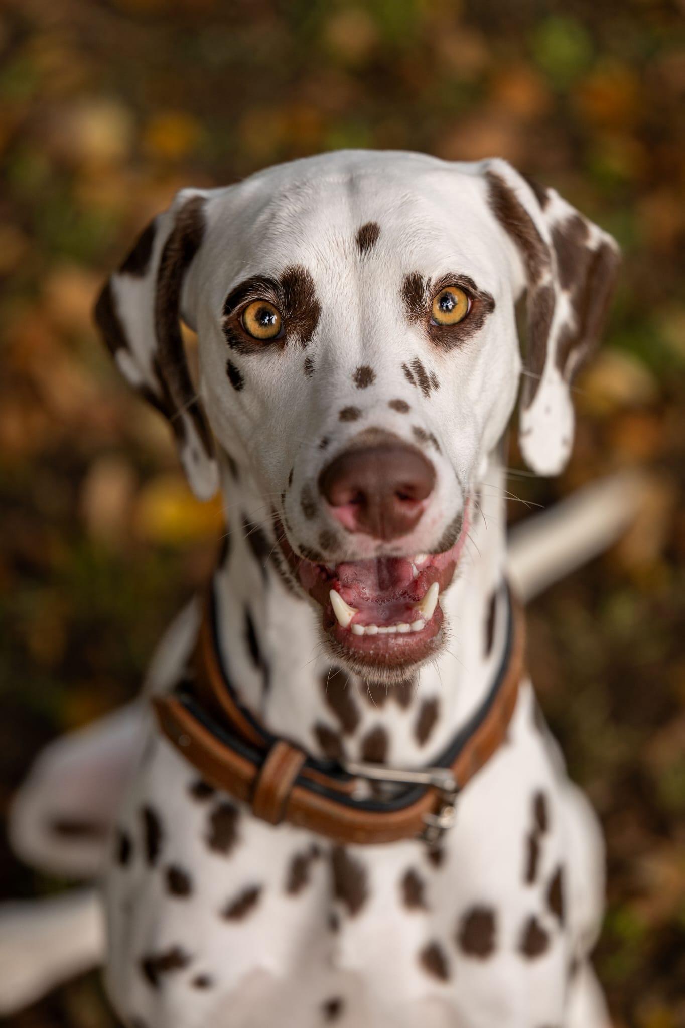 fa608918-3a51-4bc6-be02-dd8edb9db412